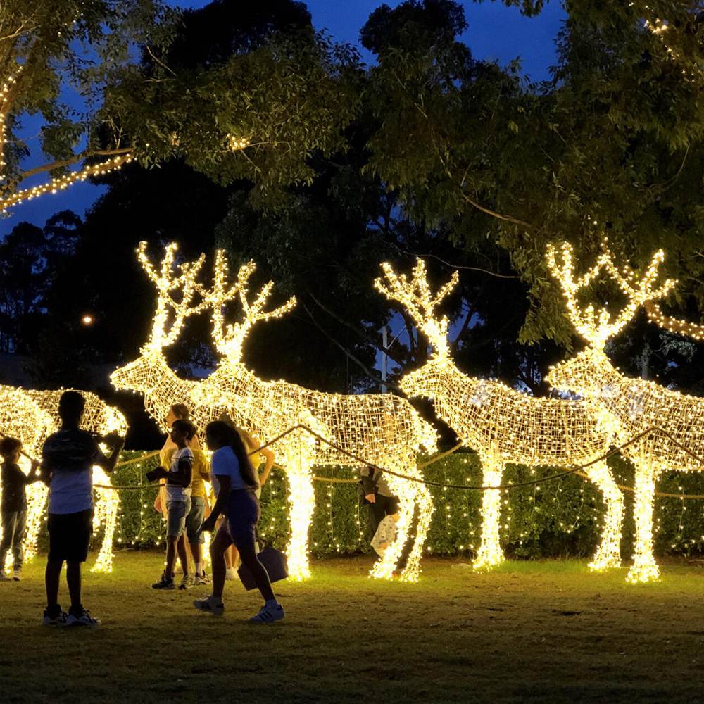 LEJIN LIGHTING 2026 World Cup Decorative Light Series New Product