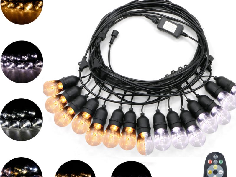 Low voltage color changing voice control double colors outdoor string lights with remote control